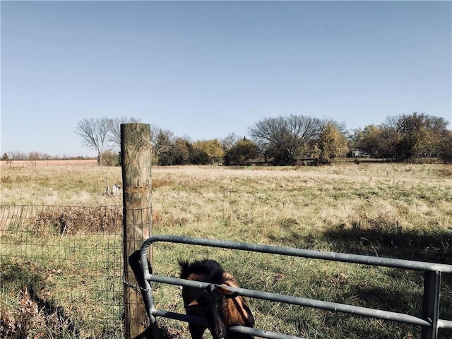 view of yard featuring a rural view