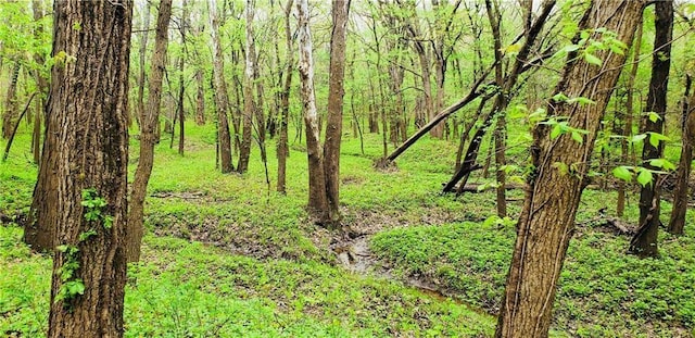 view of landscape