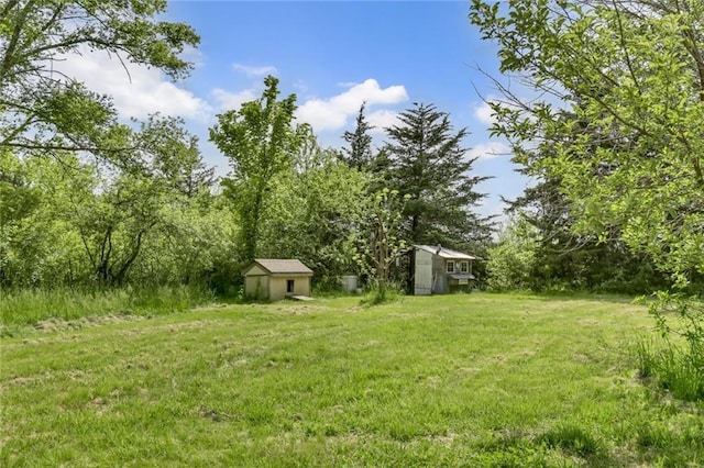view of green lawn with a shed and an outbuilding