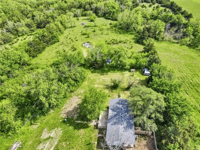 drone / aerial view