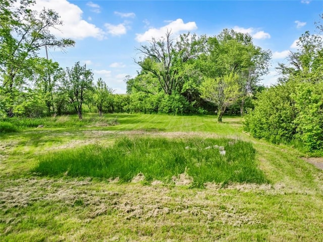 view of nature
