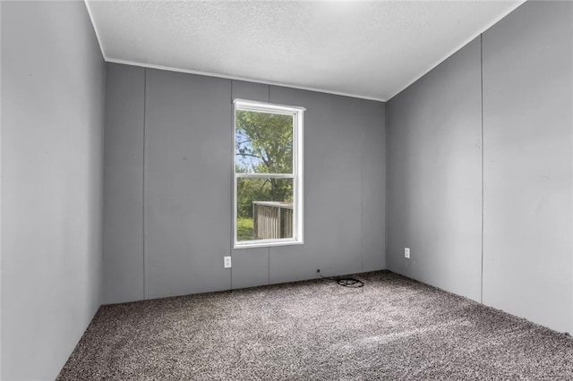 carpeted empty room with a textured ceiling