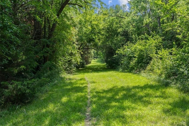 view of yard featuring a forest view