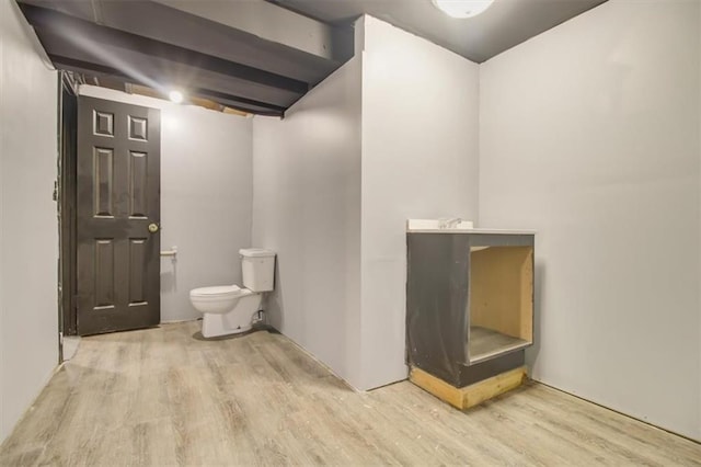 bathroom with wood-type flooring and toilet