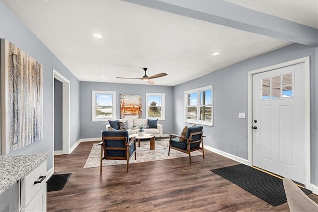 entrance foyer with ceiling fan, a healthy amount of sunlight, and dark hardwood / wood-style floors