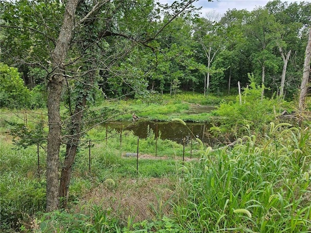 view of nature with a water view