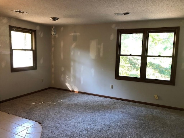 unfurnished room with carpet floors and a textured ceiling