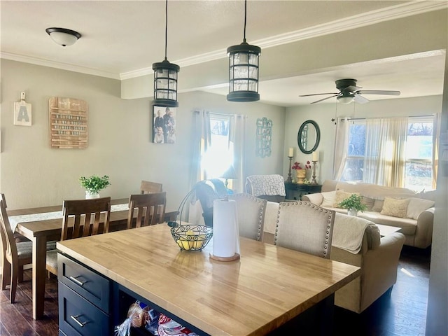 dining area featuring ceiling fan, crown molding, dark wood-type flooring, and a healthy amount of sunlight