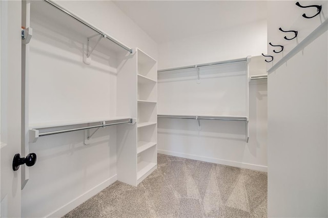 walk in closet featuring carpet floors