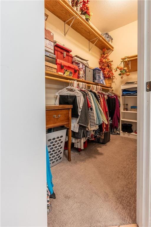 walk in closet with carpet flooring