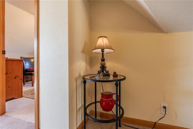 room details featuring carpet flooring and a textured ceiling