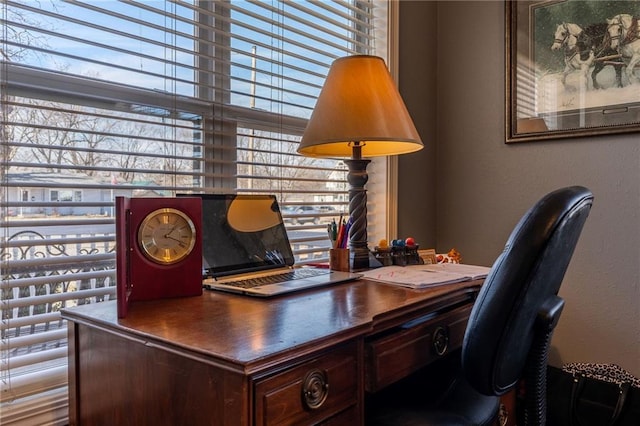 home office featuring a wealth of natural light