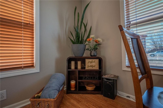 sitting room with hardwood / wood-style floors