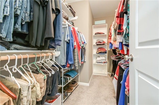 spacious closet featuring carpet