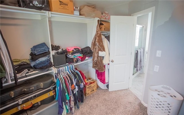 spacious closet featuring carpet flooring