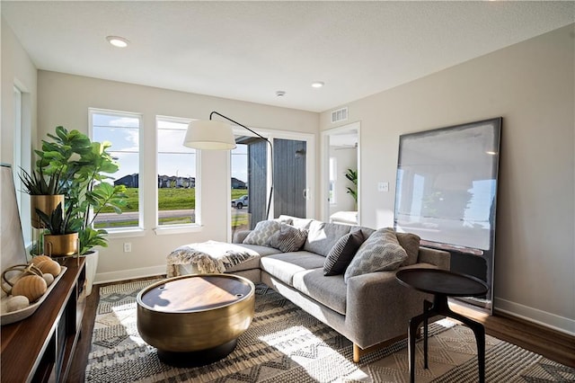 living room with hardwood / wood-style floors