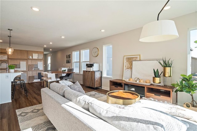 living room with dark hardwood / wood-style flooring and sink