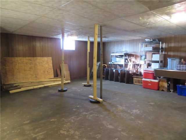 basement with wood walls