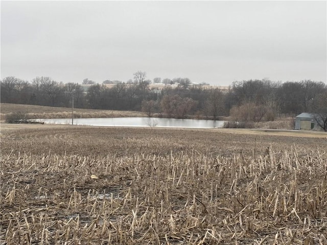 view of yard with a water view