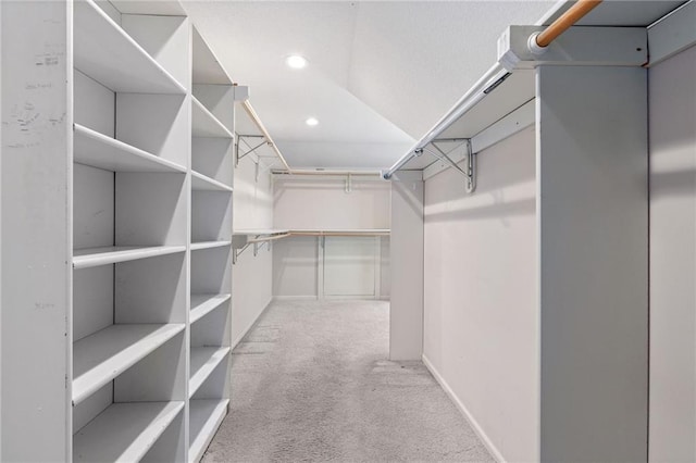 spacious closet featuring carpet floors