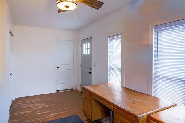 unfurnished office featuring ceiling fan and dark hardwood / wood-style flooring