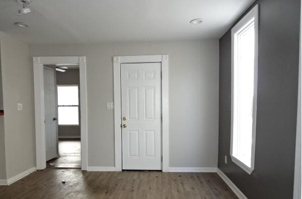 interior space featuring hardwood / wood-style flooring and a wealth of natural light