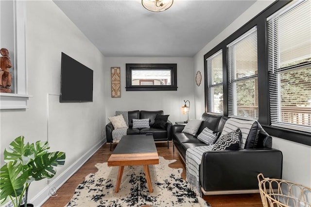 living room with dark hardwood / wood-style flooring