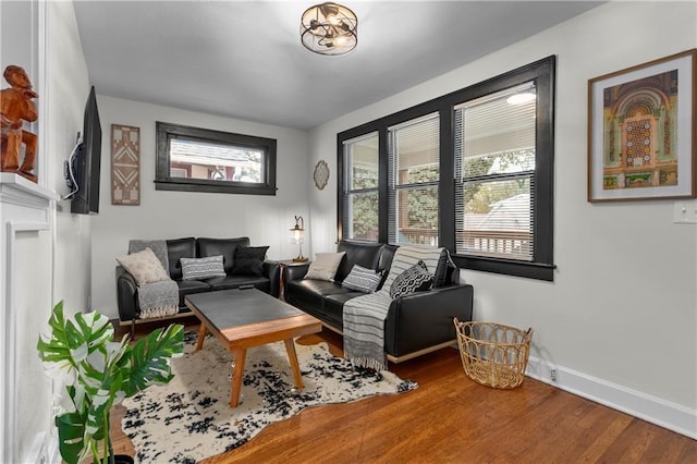 living room featuring a healthy amount of sunlight and wood-type flooring