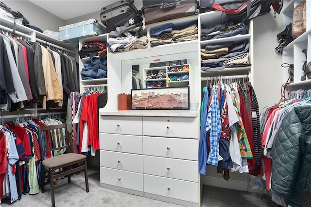 spacious closet featuring carpet floors