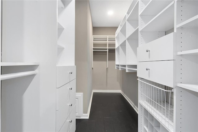 spacious closet featuring dark wood finished floors