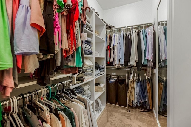 view of walk in closet