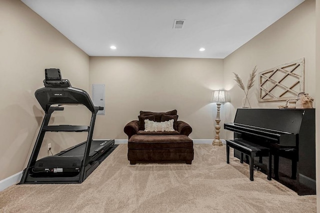 workout room featuring electric panel and light carpet