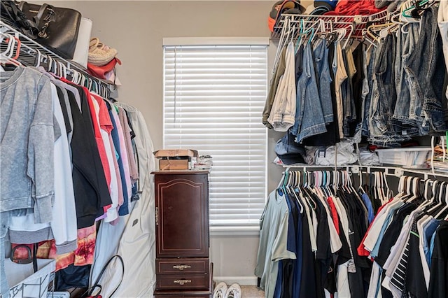 view of walk in closet