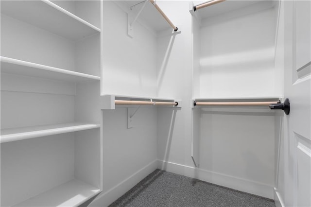 17178 S Heatherwood St, Olathe, KS 66062 - walk in closet with carpet