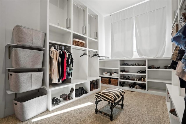 view of spacious closet