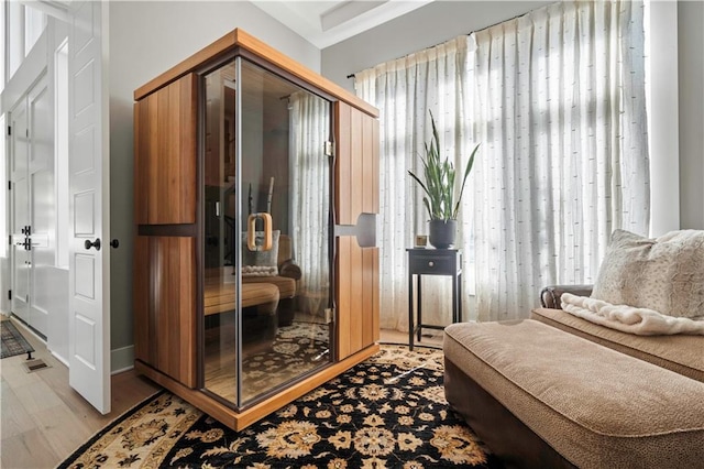 living area featuring light wood-style floors