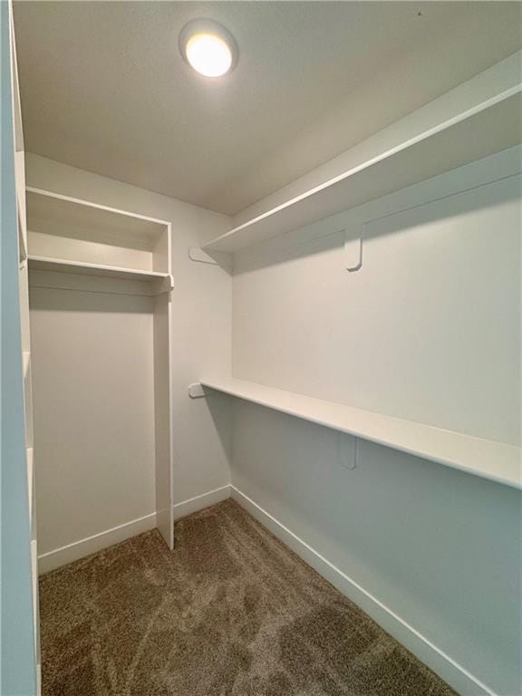 10332 N Potter Ave, Kansas City, MO 64157 - spacious closet featuring carpet floors