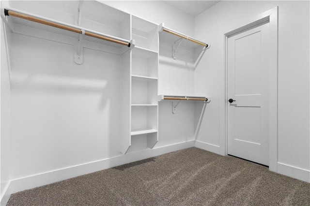 spacious closet with carpet floors