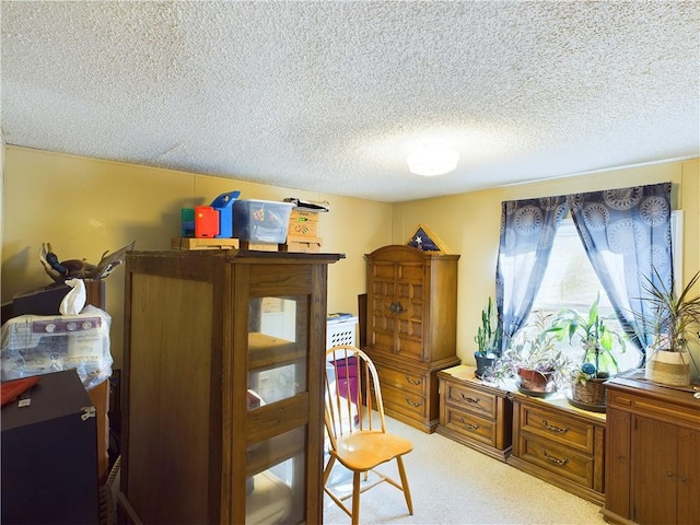 interior space featuring light colored carpet and a textured ceiling