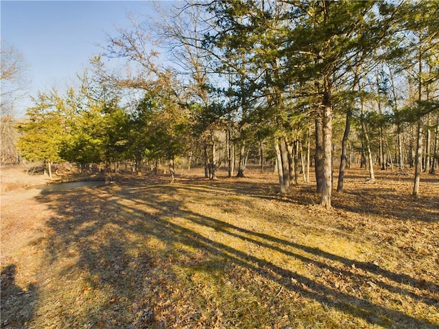 view of landscape