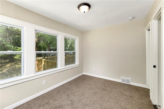 carpeted spare room with plenty of natural light