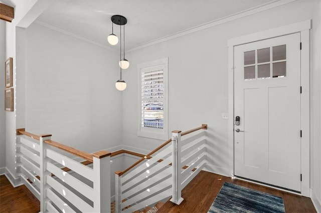 entryway with ornamental molding and dark hardwood / wood-style flooring