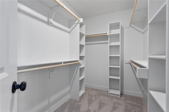 1320 N Holland Ct, Independence, MO 64056 - walk in closet with carpet flooring