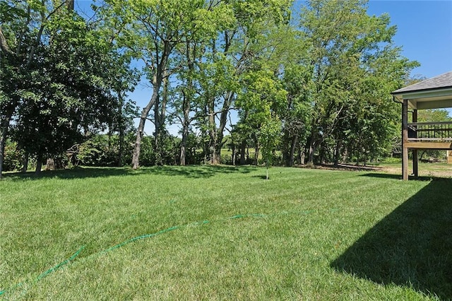 1320 N Holland Ct, Independence, MO 64056 - view of green lawn