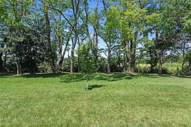 1320 N Holland Ct, Independence, MO 64056 - view of green lawn