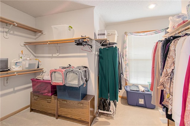 walk in closet with light colored carpet