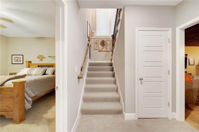 stairway with carpet floors and ceiling fan