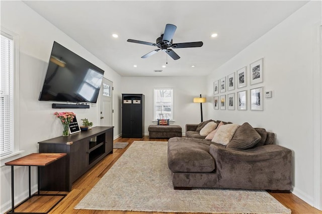 living room with ceiling fan and light wood-type flooring