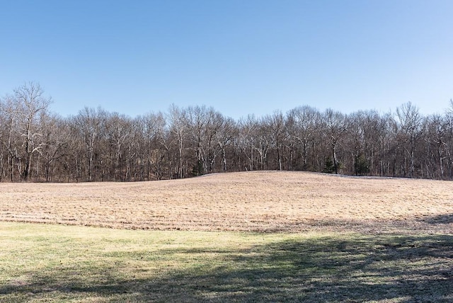 view of local wilderness with a forest view