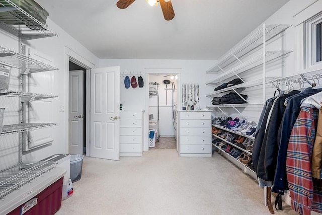 walk in closet featuring carpet and ceiling fan